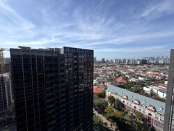 Tanjong Katong Road (D15), Condominium #513795111